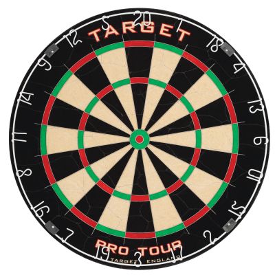 Steel Dart Board Target "Pro Tour"